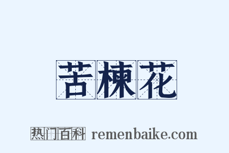 苦楝花是什么意思的图片